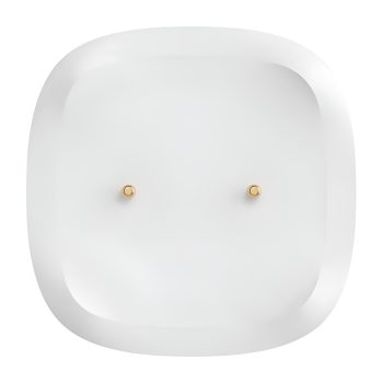 Sonoff Zigbee Water Leak Sensor SNZB-05P
